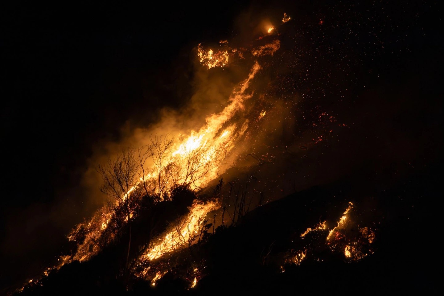 Los Angeles Jury Stalemate in High-Profile Palisades Fire Trial ...